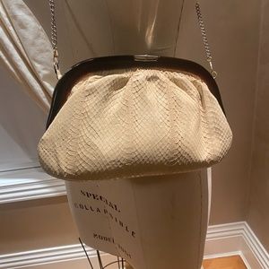 Vintage Lucite and  Snakeskin Bag